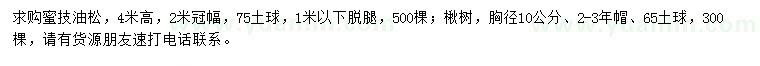 求購高4米蜜技油松、胸徑10公分楸樹