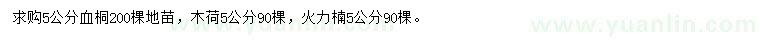 求購血桐、木荷、火力楠