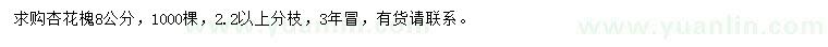 求購8公分杏花槐