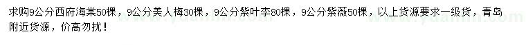 求購西府海棠、美人梅、紫葉李等