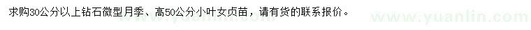 求購30公分以上鉆石微型月季、50公分小葉女貞苗