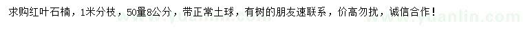 求購50量8公分紅葉石楠