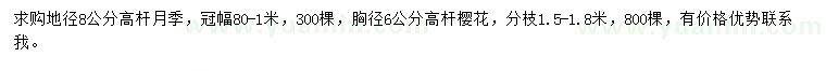 求購(gòu)地徑8公分高桿月季、胸徑6公分高桿櫻花