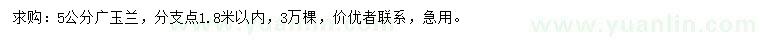 求購5公分廣玉蘭
