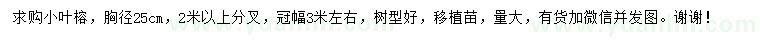 求購胸徑25公分小葉榕