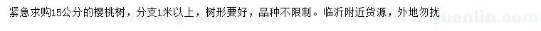 求購15公分櫻桃樹