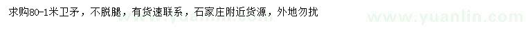 求購(gòu)80-1米衛(wèi)矛