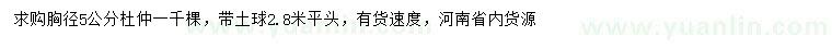 求購(gòu)胸徑5公分杜仲