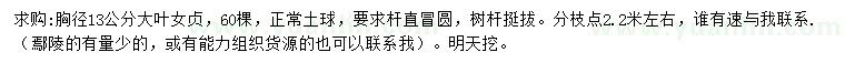 求購胸徑13公分大葉女貞