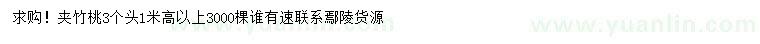 求購3公分夾竹桃