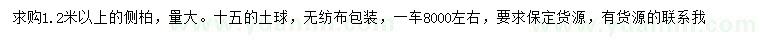 求購1.2米以上側(cè)柏