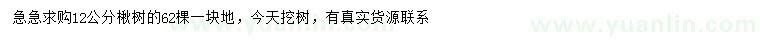 求購12公分楸樹