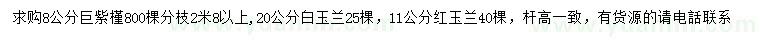 求購(gòu)巨紫槿、白玉蘭、紅玉蘭