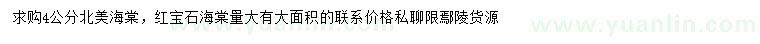 求購4公分北美海棠、紅寶石海棠