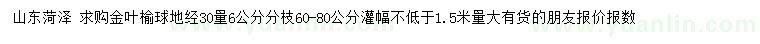 求購(gòu)地徑30量6公分金葉榆球