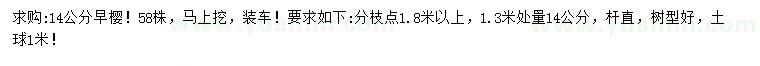 求購1.3米量14公分早櫻
