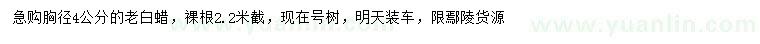 求購(gòu)胸徑4公分老白蠟