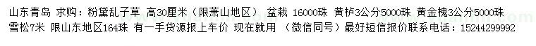 求購粉黛亂子草、黃櫨、黃金槐等