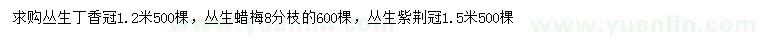 求購叢生丁香、叢生蠟梅、叢生紫荊