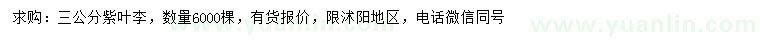 求購3公分紫葉李