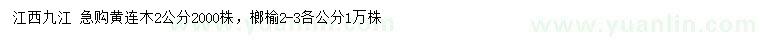 求購2公分黃連木、榔榆