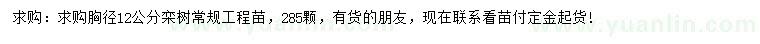 求購胸徑12公分欒樹