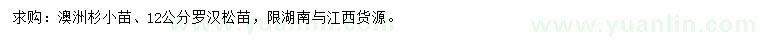 求購(gòu)澳洲杉小苗、12公分羅漢松