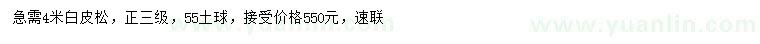 求購4米白皮松