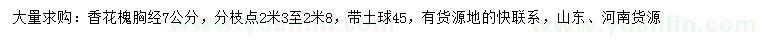 求購胸徑7公分香花槐
