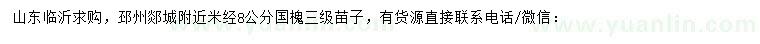 求購米8公分國槐
