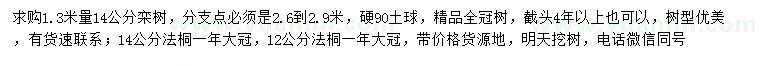 求購1.3米量14公分欒樹、12、14公分法桐
