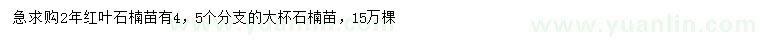求購(gòu)2年紅葉石楠苗