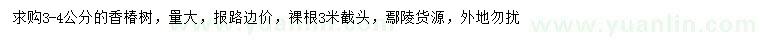 求購3-4公分香椿