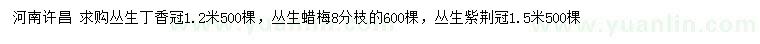 求購叢生丁香、叢生蠟梅、叢生紫薇