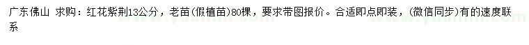 求購13公分紅花紫荊