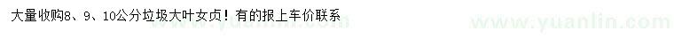 求購(gòu)8、9、10公分垃圾大葉女貞