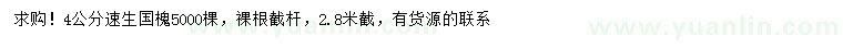求購4公分速生國槐