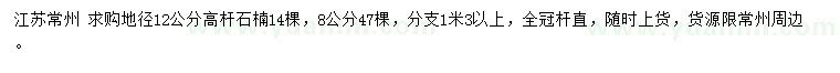 求購地徑8、12公分高桿石楠