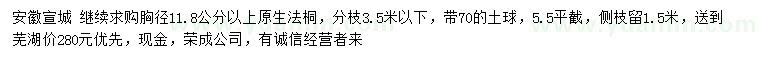 求購胸徑11.8公分以上法桐