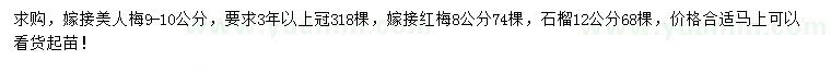求購美人梅、紅梅、石榴