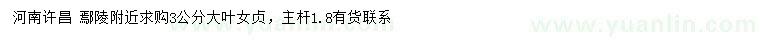 求購3公分大葉女貞