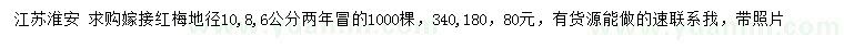 求購地徑6、8、10公分嫁接紅梅