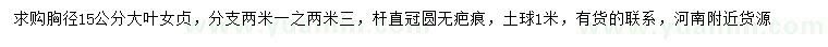求購胸徑15公分大葉女貞