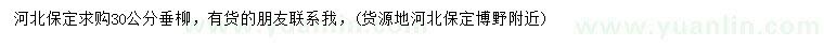 求購(gòu)30公分垂柳