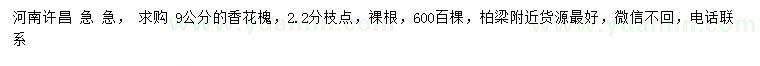 求購9公分香花槐