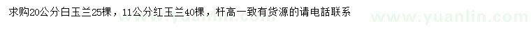 求購(gòu)11、20公分白玉蘭