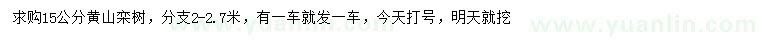求購(gòu)15公分黃山欒樹