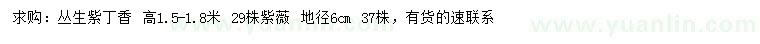 求購(gòu)高1.5-1.8米叢生紫丁香、地徑6公分紫薇
