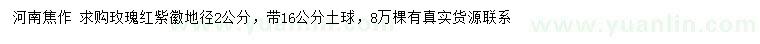 求購地徑2公分玫瑰紅紫薇