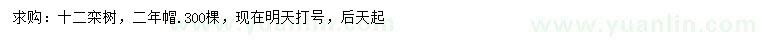 求購12公分欒樹